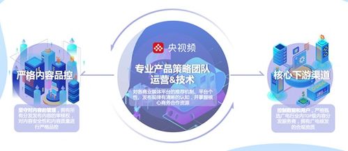 中央廣播電視總臺 版權運營與媒資開發，打造全終端產品渠道，拓展全維度產品價值